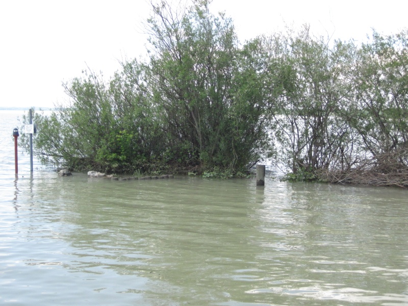 hochwasser2013-22.jpg